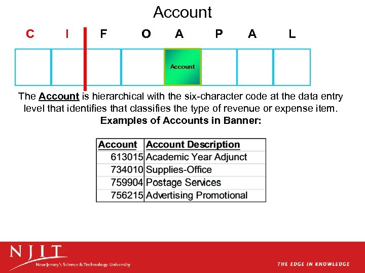 Account C Account Index I F Required O Chart Fund Organization A Account P