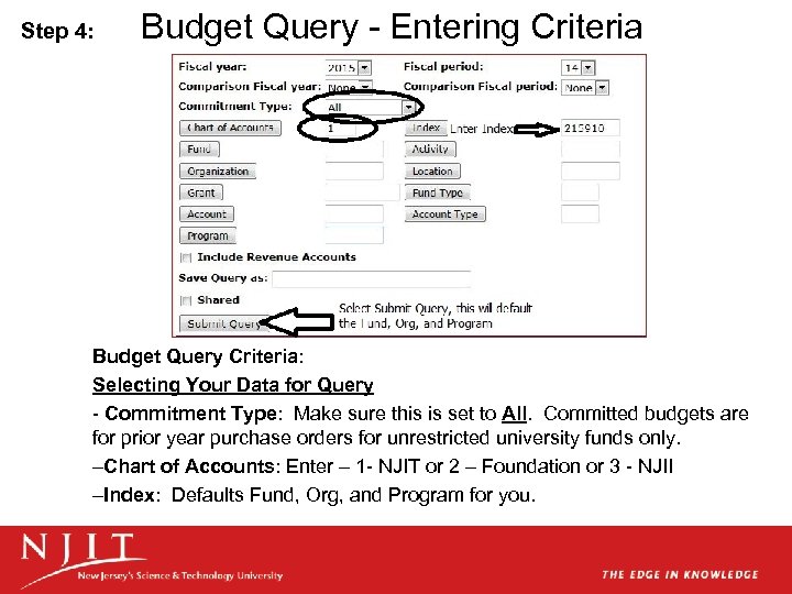 Step 4: Budget Query - Entering Criteria Budget Query Criteria: Selecting Your Data for