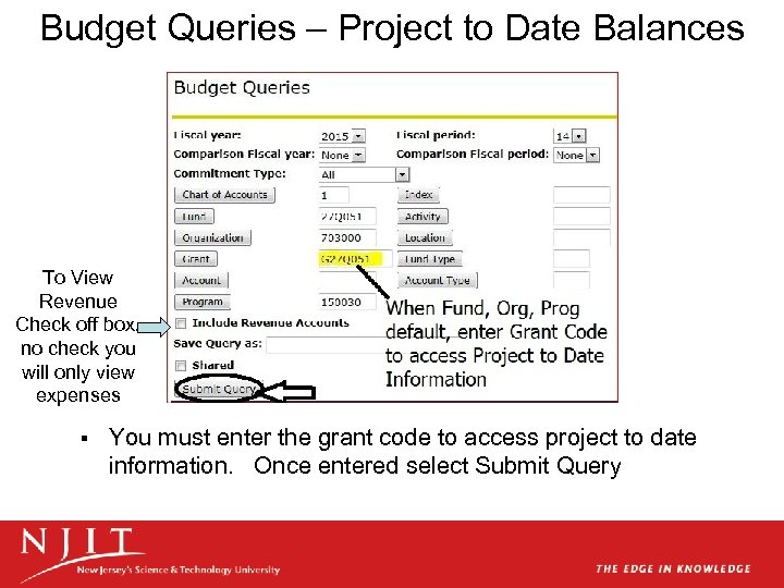 Budget Queries – Project to Date Balances To View Revenue Check off box, no