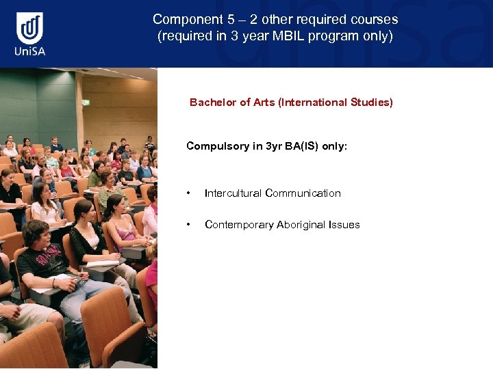 Component 5 – 2 other required courses (required in 3 year MBIL program only)