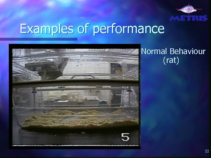 Examples of performance Normal Behaviour (rat) 22 