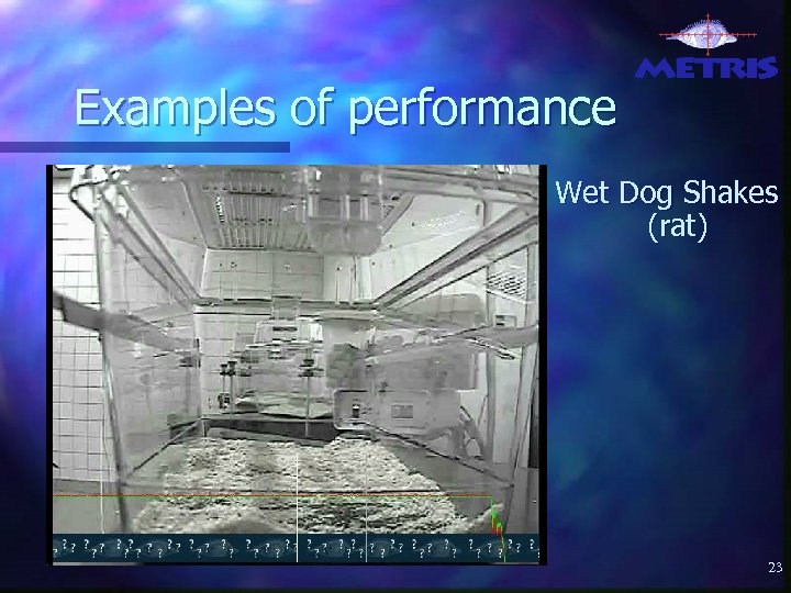Examples of performance Wet Dog Shakes (rat) 23 