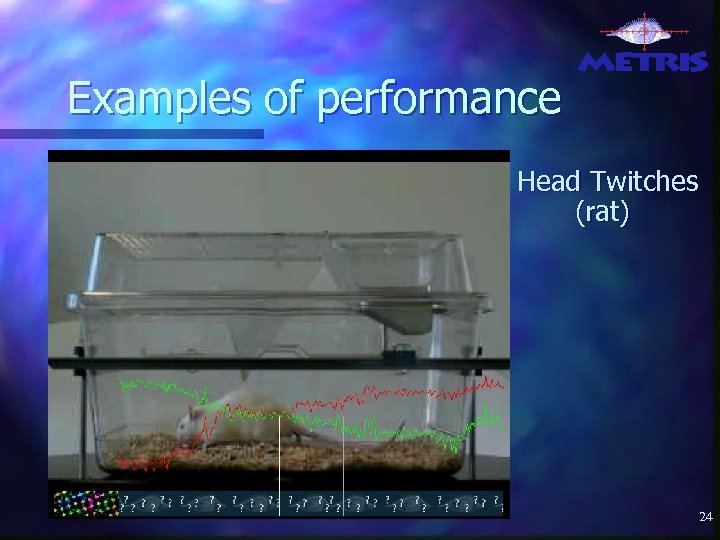 Examples of performance Head Twitches (rat) 24 