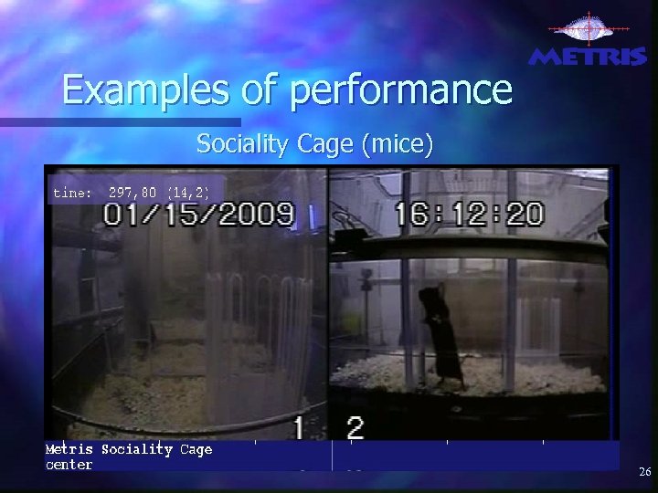Examples of performance Sociality Cage (mice) 26 