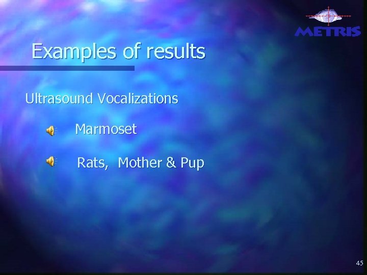 Examples of results Ultrasound Vocalizations Marmoset Rats, Mother & Pup 45 