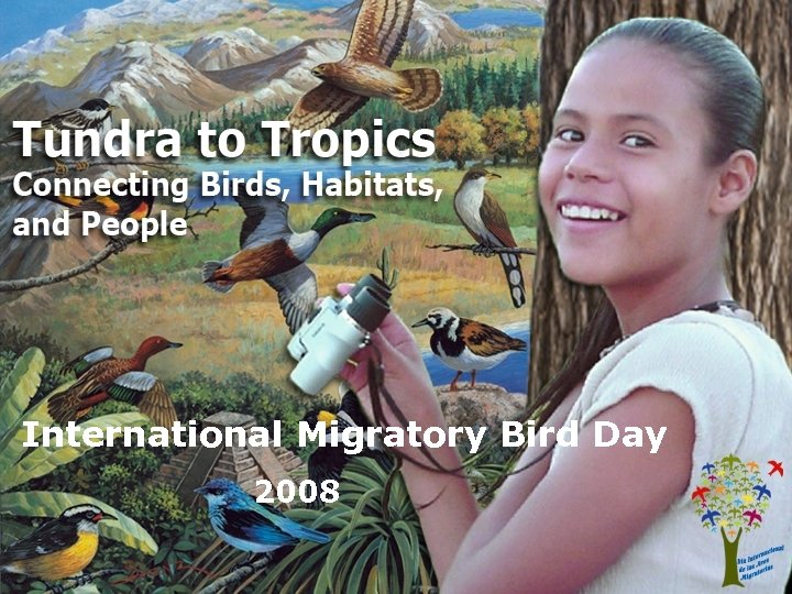 International Migratory Bird Day 2008 