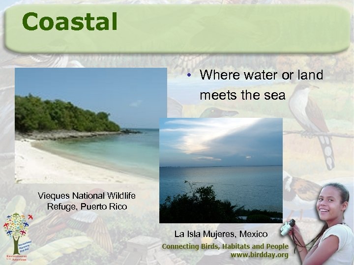 Coastal • Where water or land meets the sea Vieques National Wildlife Refuge, Puerto