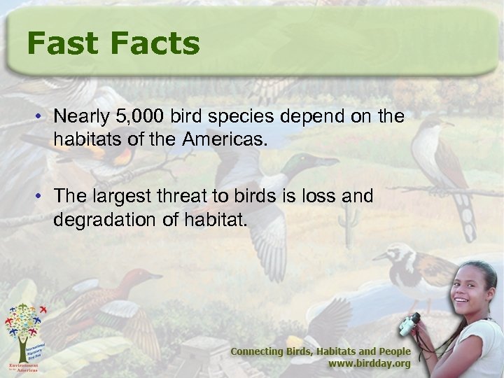 Fast Facts • Nearly 5, 000 bird species depend on the habitats of the