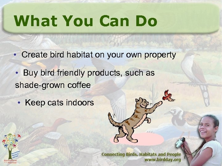 What You Can Do • Create bird habitat on your own property • Buy