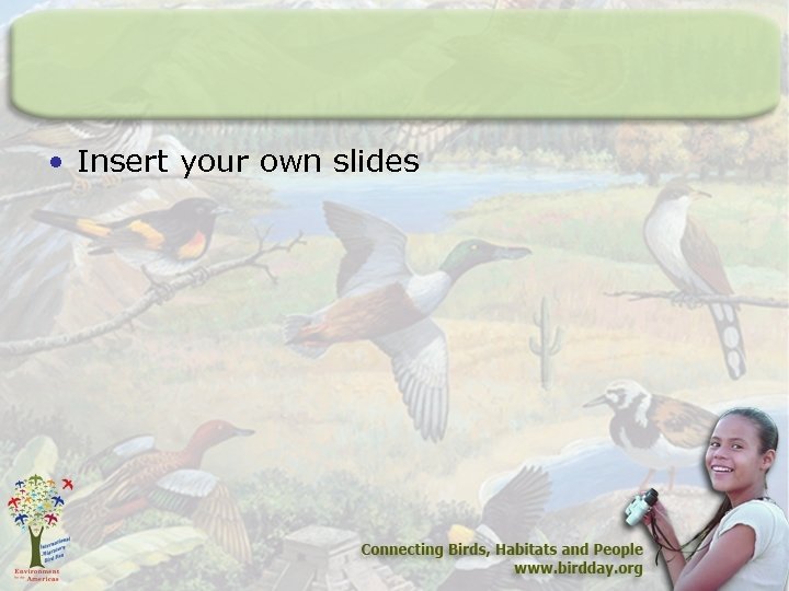  • Insert your own slides 