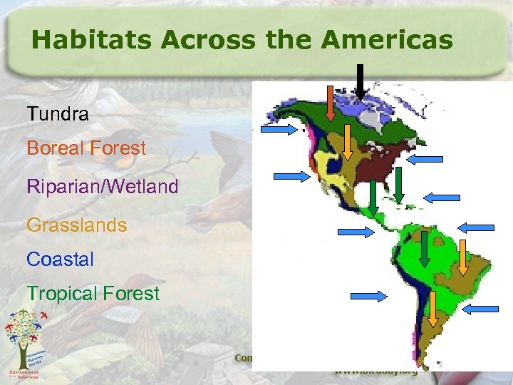 Habitats Across the Americas Tundra Boreal Forest Riparian/Wetland Grasslands Coastal Tropical Forest 