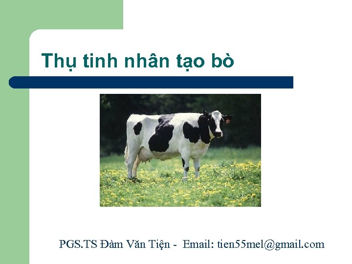 Thụ tinh nhân tạo bò PGS. TS Đàm Văn Tiện - Email: tien 55