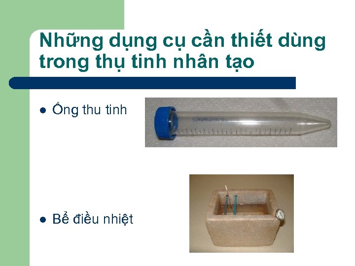 Những dụng cụ cần thiết dùng trong thụ tinh nhân tạo l Ống thu