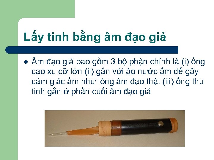 Lấy tinh bằng âm đạo giả l m đạo giả bao gồm 3 bộ