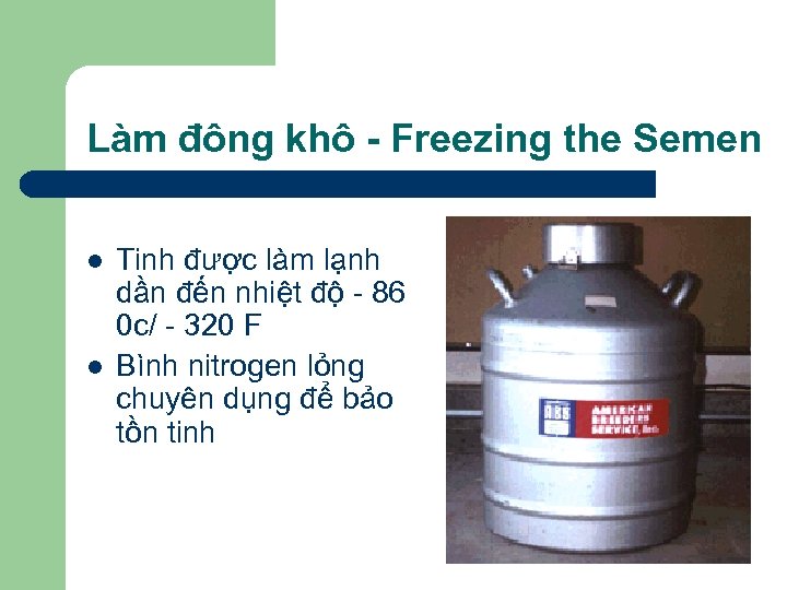 Làm đông khô - Freezing the Semen l l Tinh được làm lạnh dần