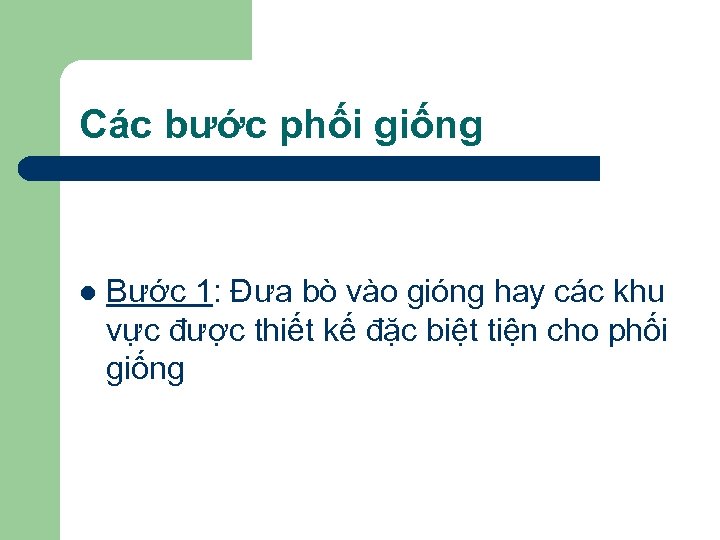 Các bước phối giống l Bước 1: Đưa bò vào gióng hay các khu