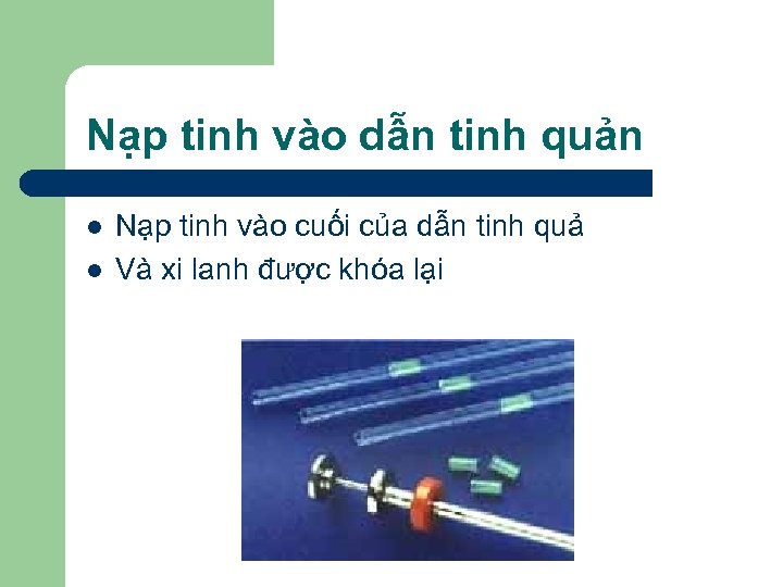 Nạp tinh vào dẫn tinh quản l l Nạp tinh vào cuối của dẫn