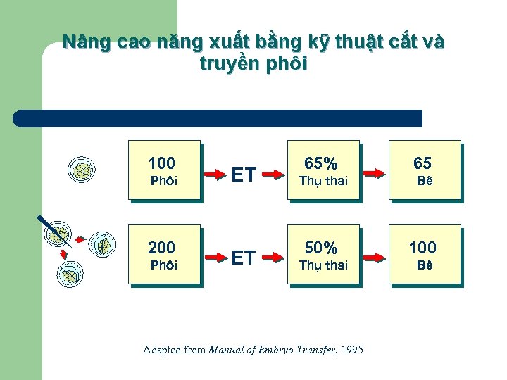 Nâng cao năng xuất bằng kỹ thuật cắt và truyền phôi 100 Phôi 200