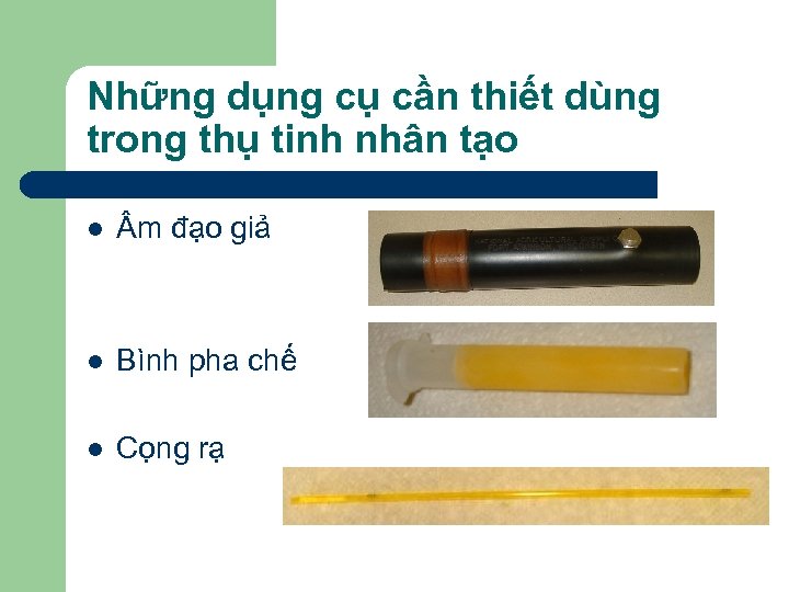 Những dụng cụ cần thiết dùng trong thụ tinh nhân tạo l m đạo