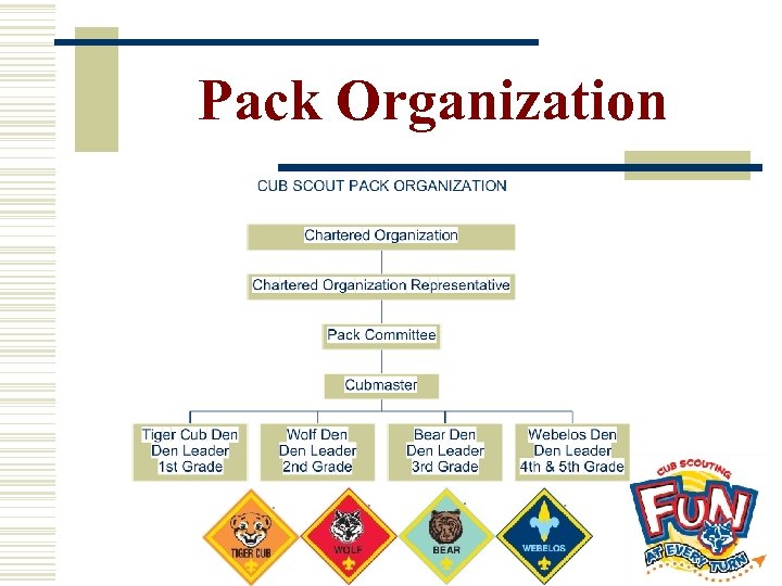 Pack Organization 