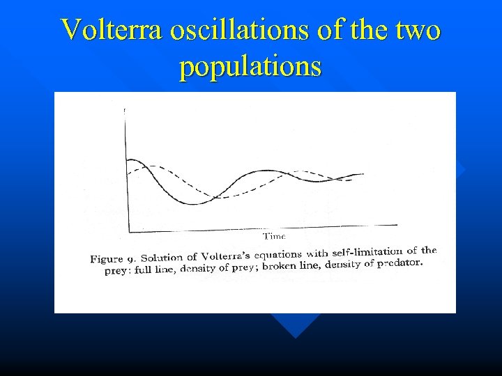 Volterra oscillations of the two populations 