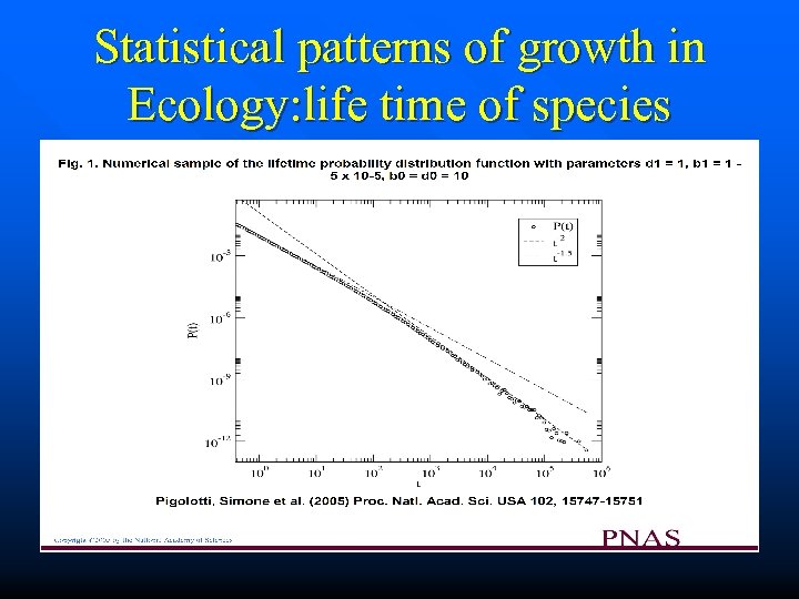 Statistical patterns of growth in Ecology: life time of species 