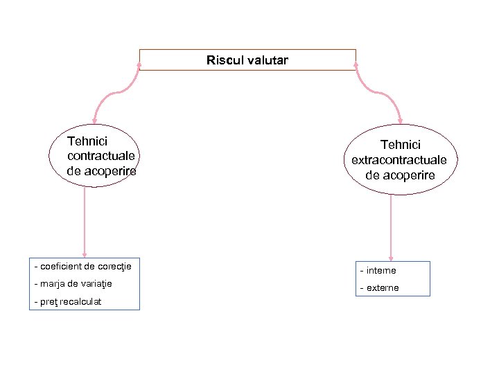 Riscul valutar Tehnici contractuale de acoperire Tehnici extracontractuale de acoperire - coeficient de corecţie
