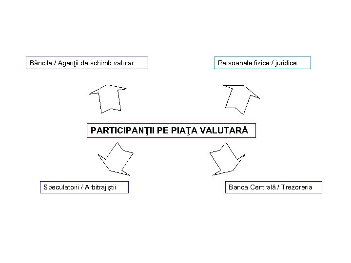 Băncile / Agenţii de schimb valutar Persoanele fizice / juridice PARTICIPANŢII PE PIAŢA VALUTARĂ