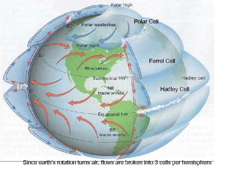 Polar Cell Ferrel Cell Hadley Cell Since earth’s rotation turns air, flows are broken
