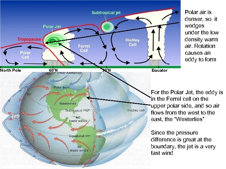 Polar air is denser, so it wedges under the low density warm air. Rotation