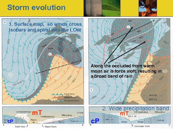 Storm evolution 1. Surface map, so winds cross Isobars and spiral into the LOW