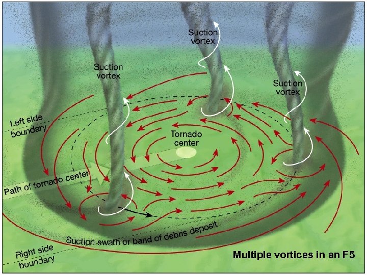 Multiple vortices in an F 5 