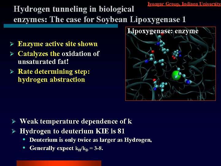 Iyengar Group, Indiana University Hydrogen tunneling in biological enzymes: The case for Soybean Lipoxygenase