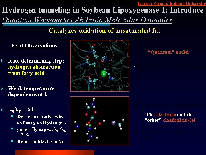 Iyengar Group, Indiana University Hydrogen tunneling in Soybean Lipoxygenase 1: Introduce Quantum Wavepacket Ab