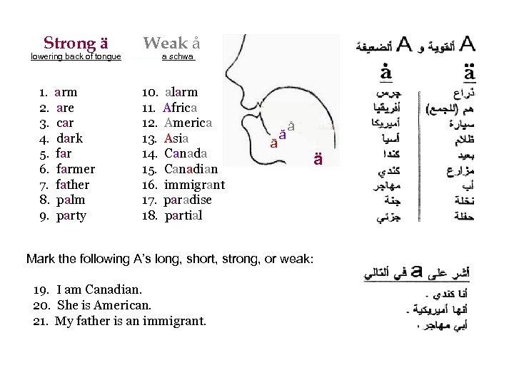 Strong ä Weak å lowering back of tongue . . . a schwa 1.