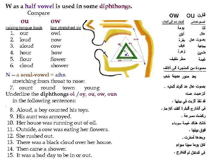 W as a half vowel is used in some diphthongs. Compare ou ow raising