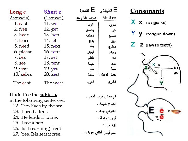 Long e 2 vowels) 1. east 2. free 3. hear 4. lease 5. need