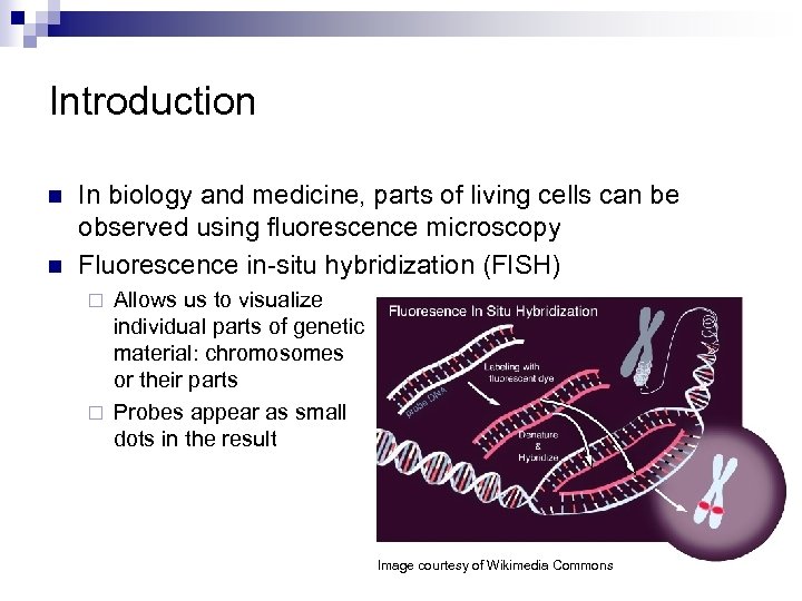 Introduction n n In biology and medicine, parts of living cells can be observed