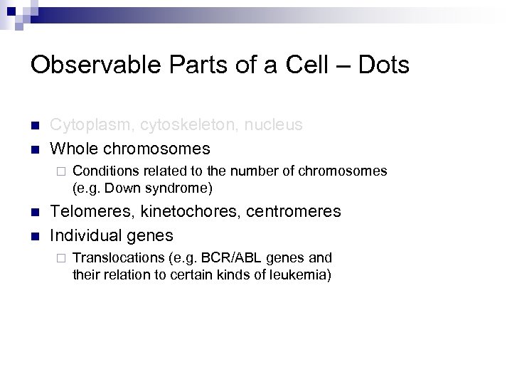 Observable Parts of a Cell – Dots n n Cytoplasm, cytoskeleton, nucleus Whole chromosomes