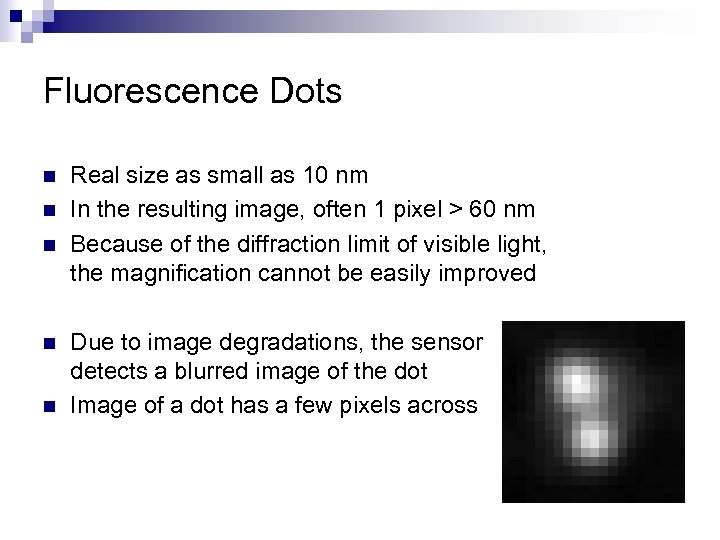 Fluorescence Dots n n n Real size as small as 10 nm In the