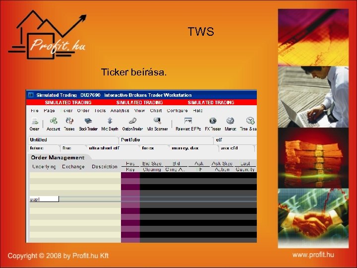 TWS Ticker beírása. 