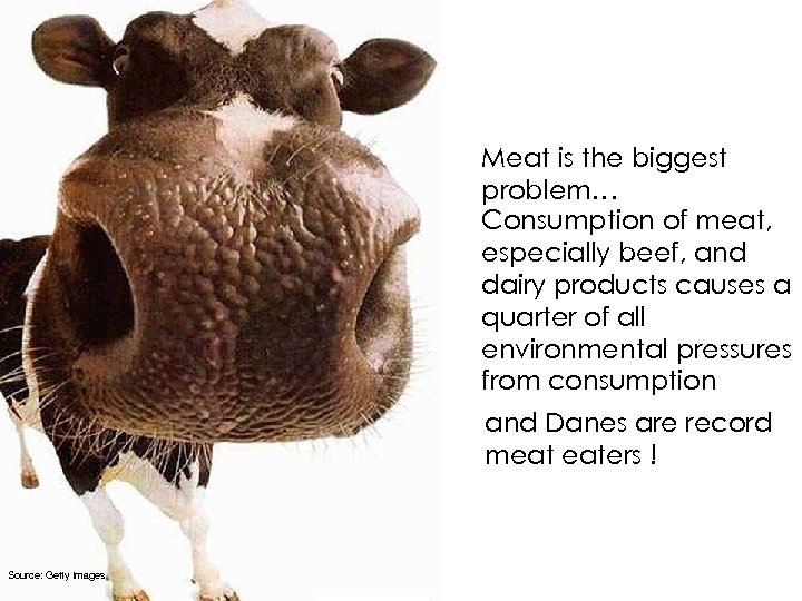 Meat is the biggest problem… Consumption of meat, especially beef, and dairy products causes