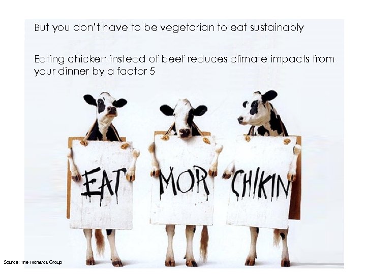But you don’t have to be vegetarian to eat sustainably Eating chicken instead of
