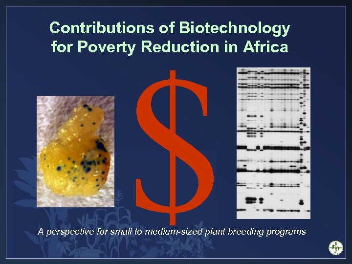Contributions of Biotechnology for Poverty Reduction in Africa $ A perspective for small to