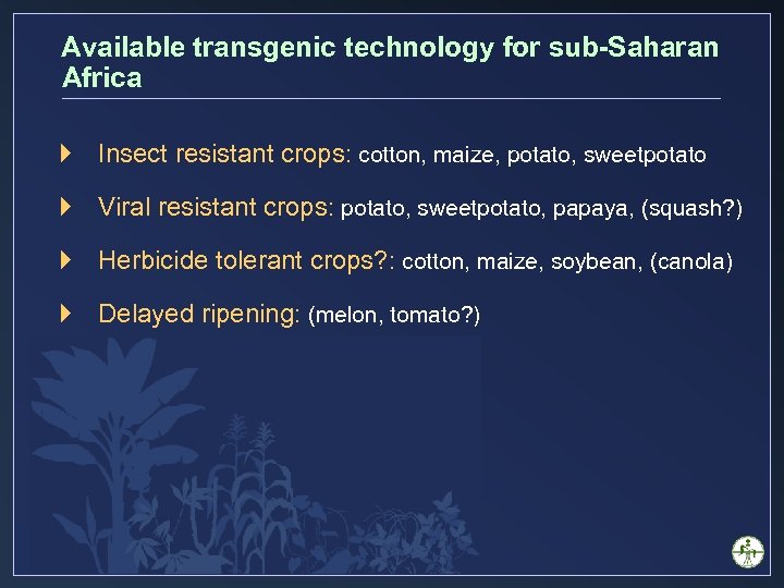 Available transgenic technology for sub-Saharan Africa } Insect resistant crops: cotton, maize, potato, sweetpotato