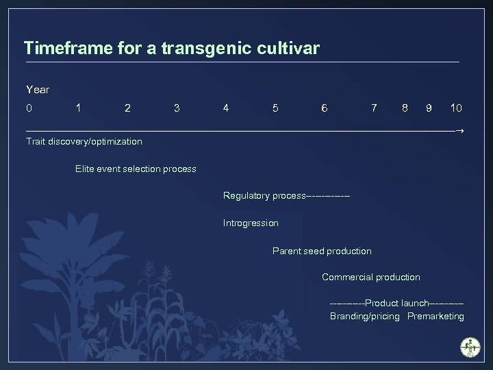Timeframe for a transgenic cultivar Year 0 1 2 3 4 5 6 7