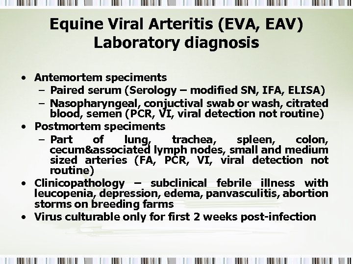 Equine Viral Arteritis (EVA, EAV) Laboratory diagnosis • Antemortem speciments – Paired serum (Serology