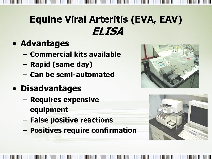 Equine Viral Arteritis (EVA, EAV) ELISA • Advantages – Commercial kits available – Rapid