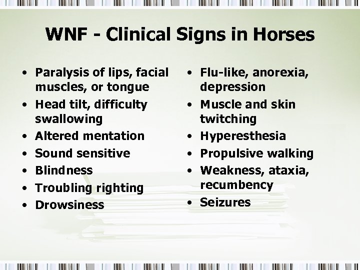 WNF - Clinical Signs in Horses • Paralysis of lips, facial muscles, or tongue