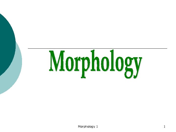 Morphology 1 1 